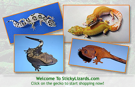 stickylizards.com